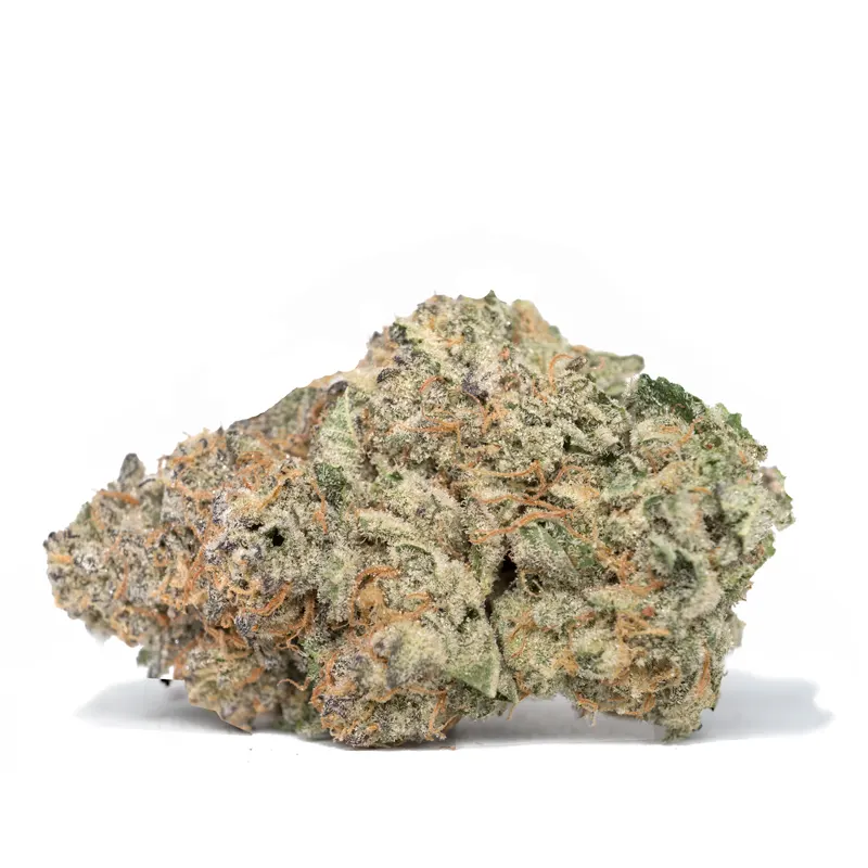 WET DREAM STRAIN