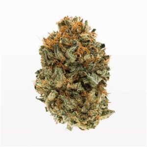 budget buds gg4