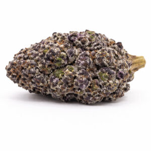 WHITE TRUFFLE AAAAA STRAIN