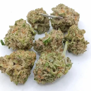 Maui Waui AA