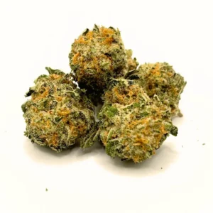 Acapulco Gold AA