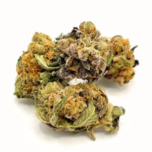 Gorilla Bomb AA