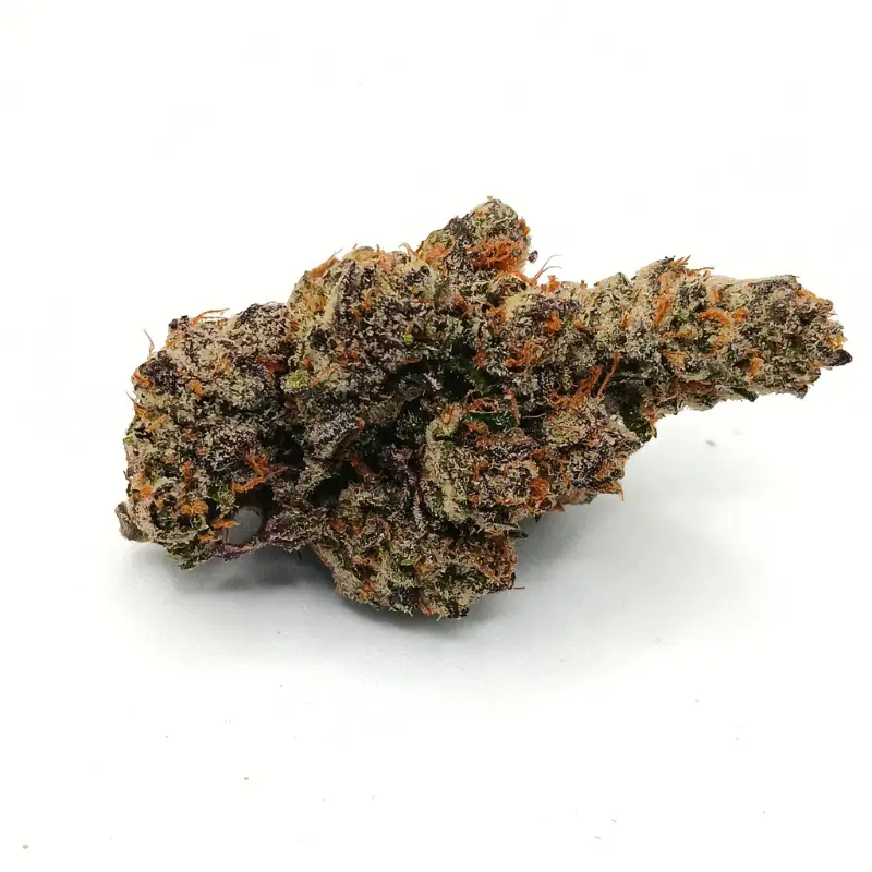 Grape Biscotti AAAAA 1 Grape Biscotti AAAAA