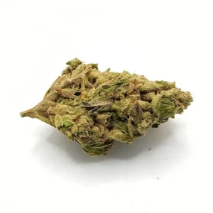 Northern Lights AA