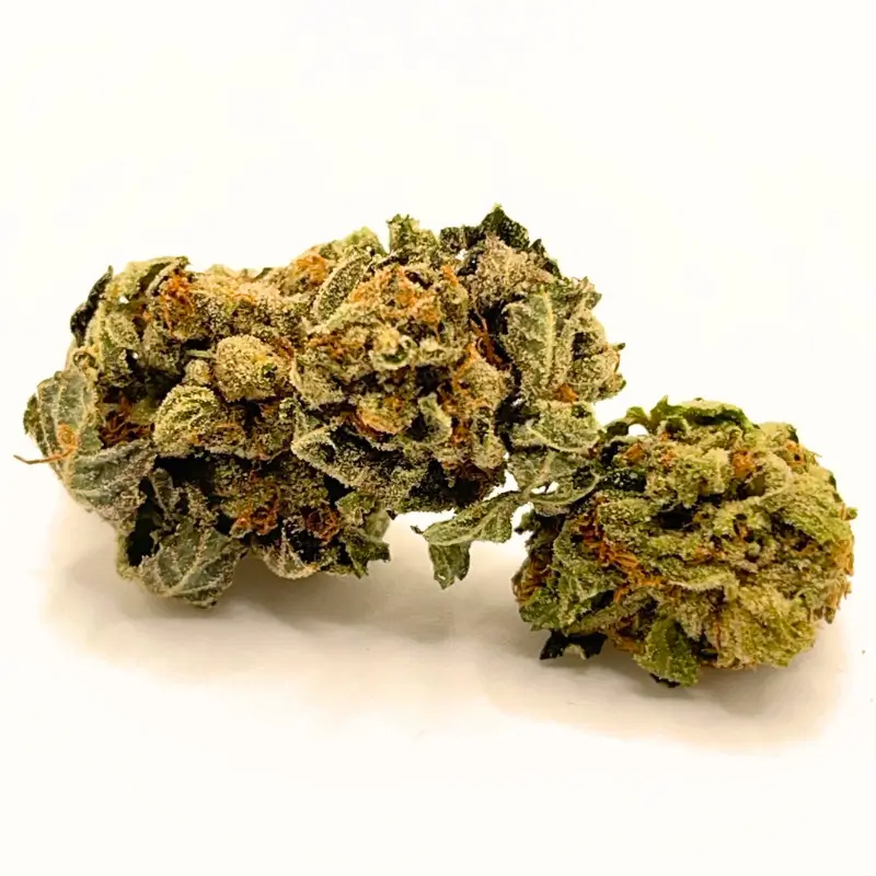 Pink Kush AA 1 Pink Kush AA