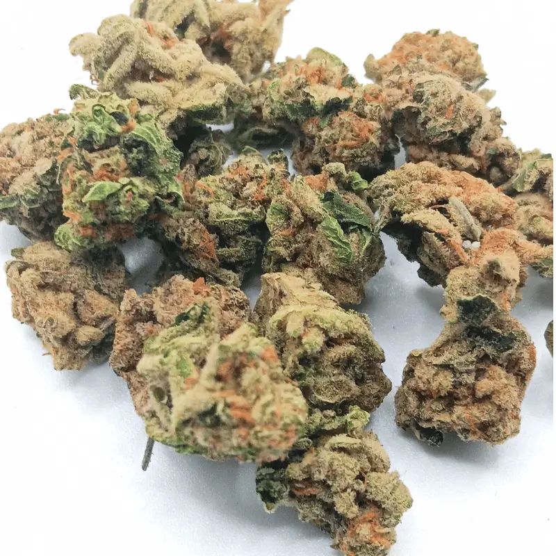 Lemon Kush AA 1 Lemon Kush AA